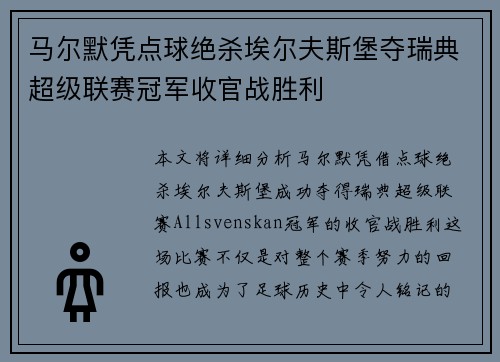 马尔默凭点球绝杀埃尔夫斯堡夺瑞典超级联赛冠军收官战胜利