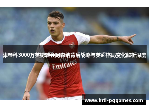 津琴科3000万英镑转会阿森纳背后战略与英超格局变化解析深度 津琴科3000万英镑转会阿森纳背后战略与英超格局变化解析深度